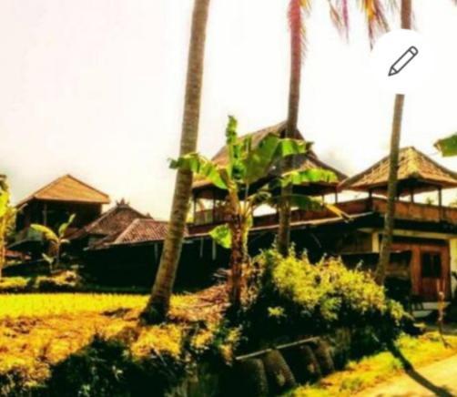 Pondok Diana Jasri Exterior foto
