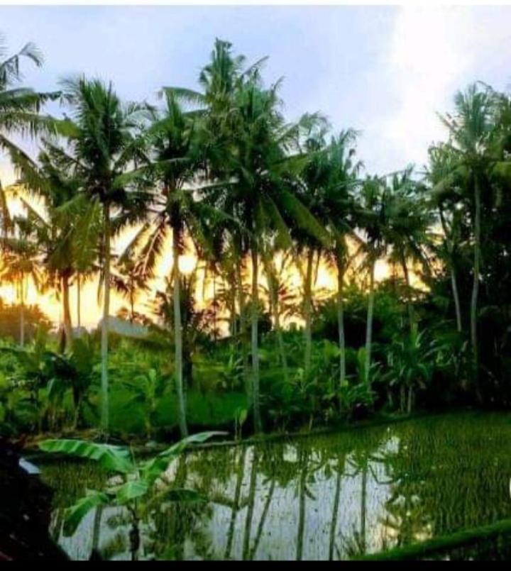 Pondok Diana Jasri Exterior foto