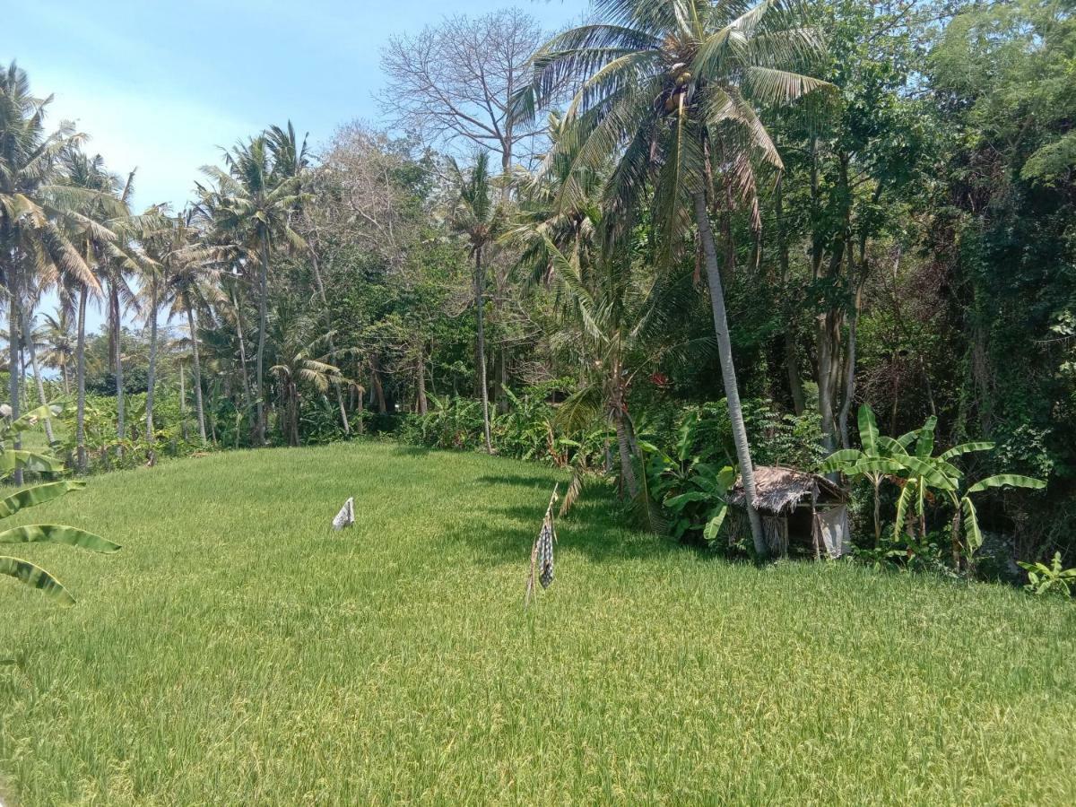 Pondok Diana Jasri Exterior foto