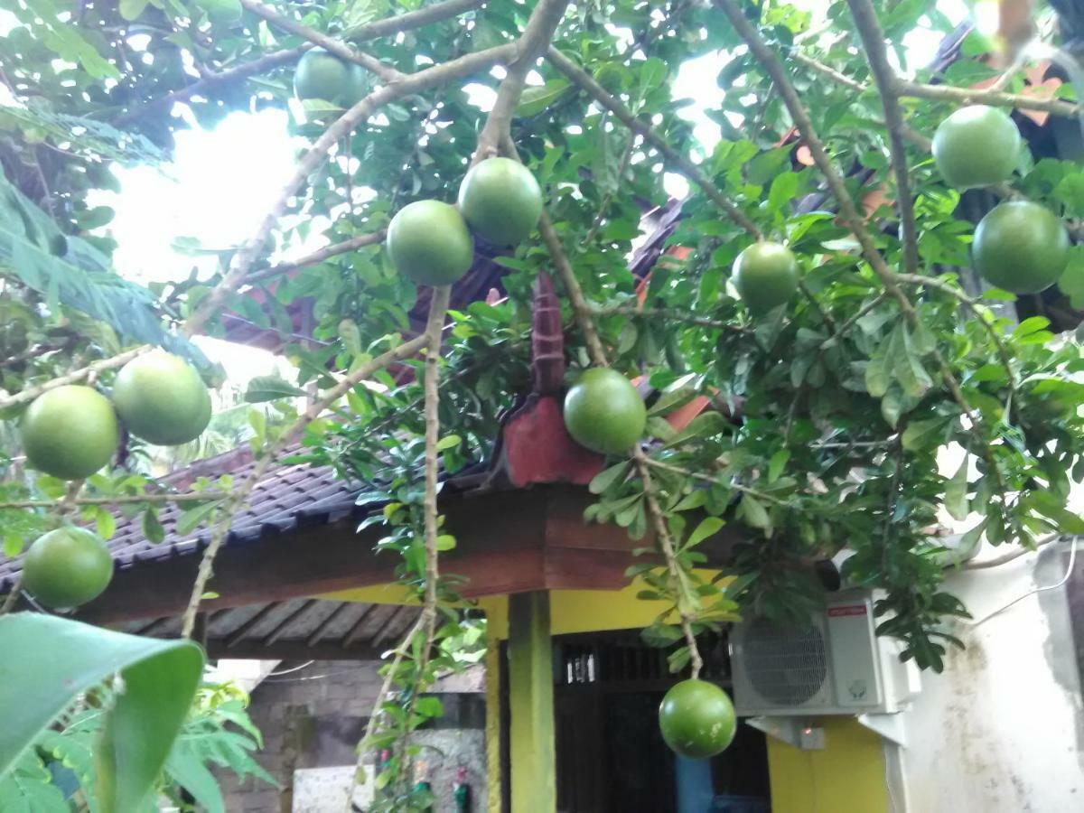 Pondok Diana Jasri Exterior foto