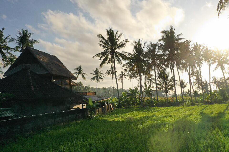 Pondok Diana Jasri Exterior foto